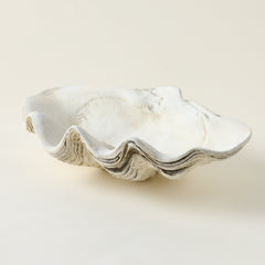 Concrete Clamshell