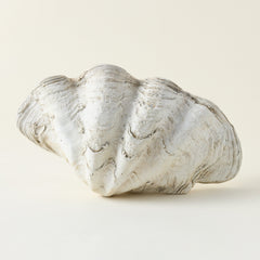 Concrete Clamshell