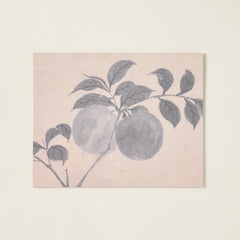 Fruit Branch