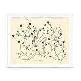 Clustered Blooms