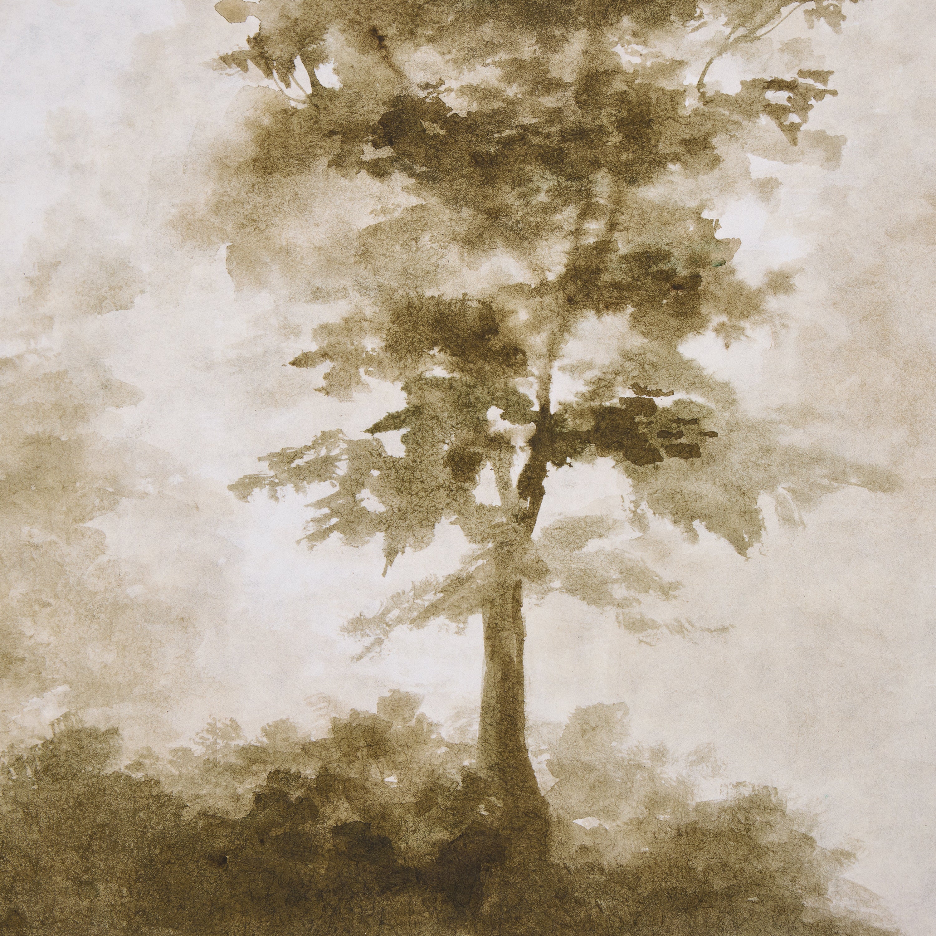Grove II