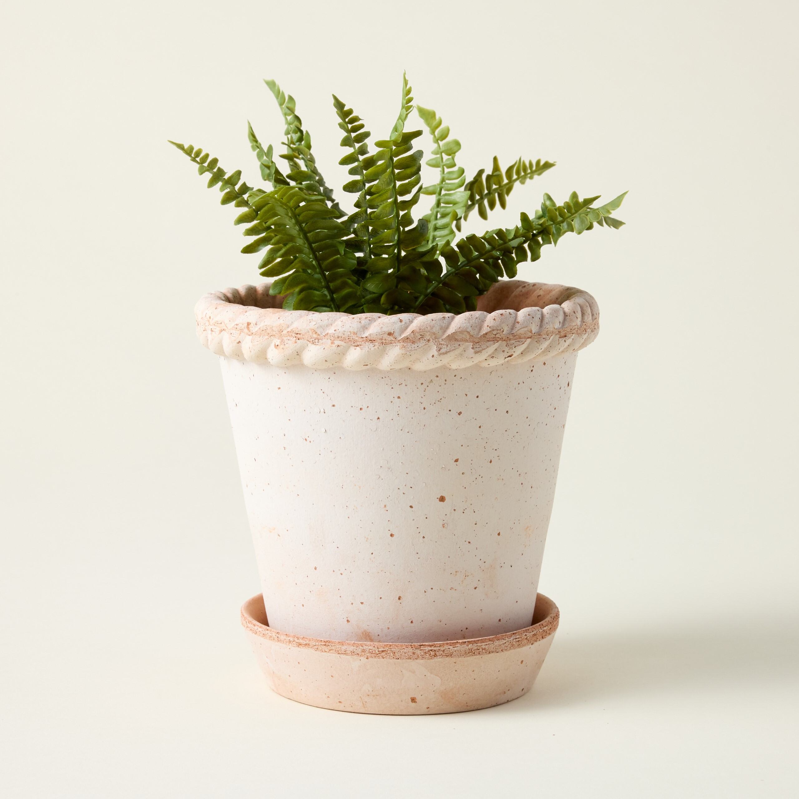 Emilia Rosa Set