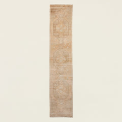 Alva Vintage Runner 3' x 14'9"