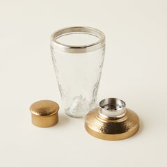 Ana Glass Cocktail Shaker