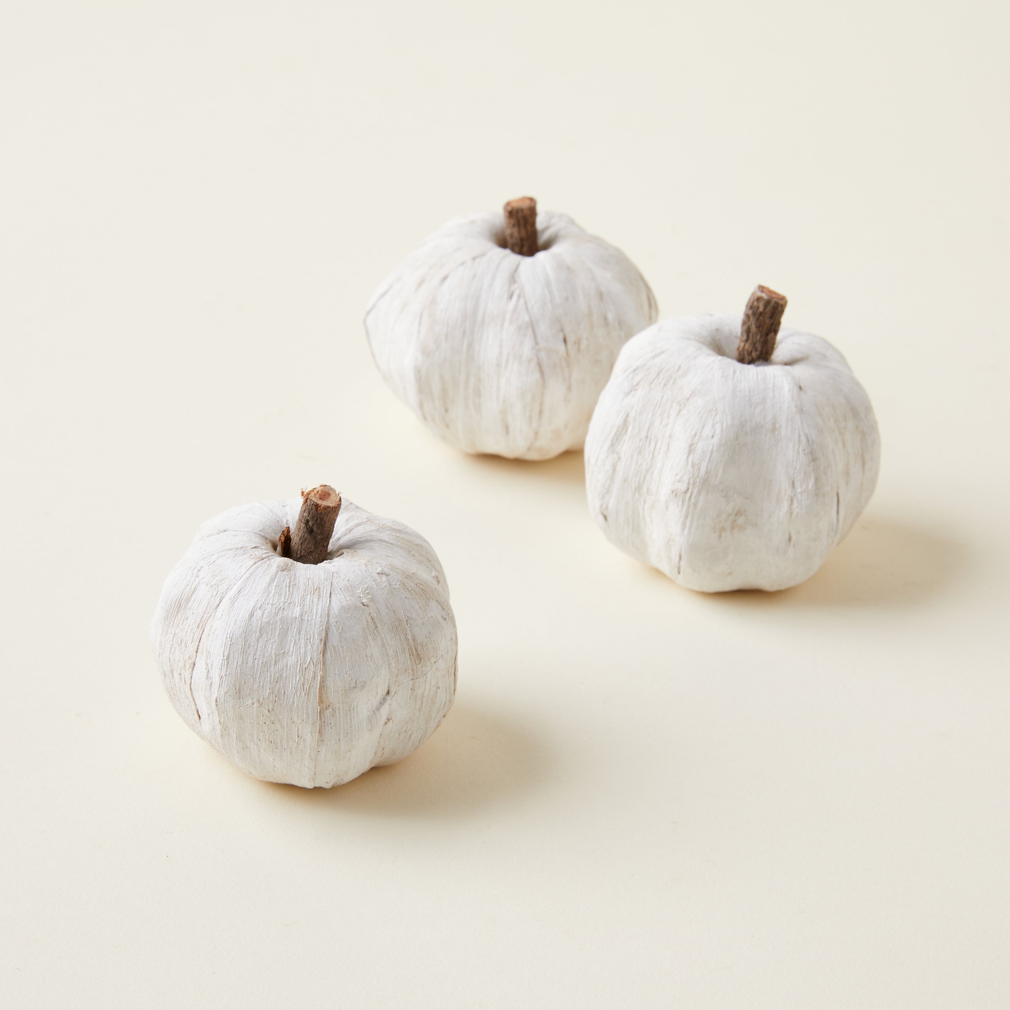 Bag of Dried Mini Faux Pumpkins