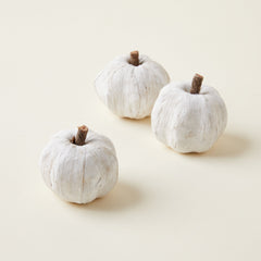 Bag of Dried Mini Faux Pumpkins