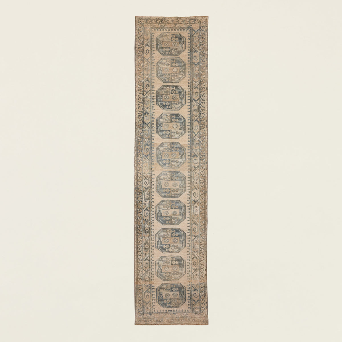 Everly Vintage Runner 2'9" x 11'6"