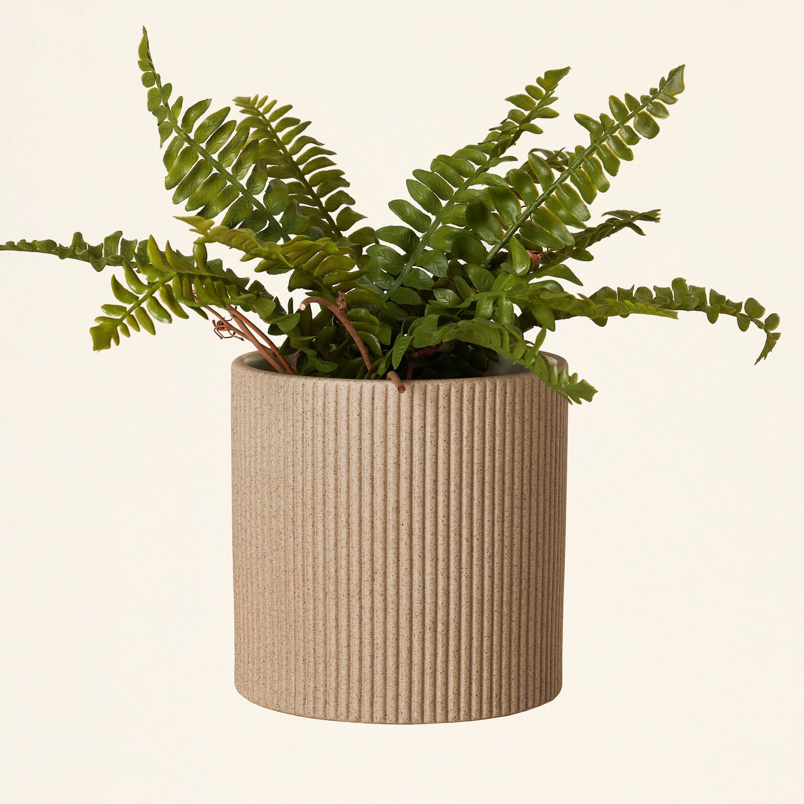 Faux Fern Drop-In