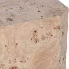 Burl Wood End Table
