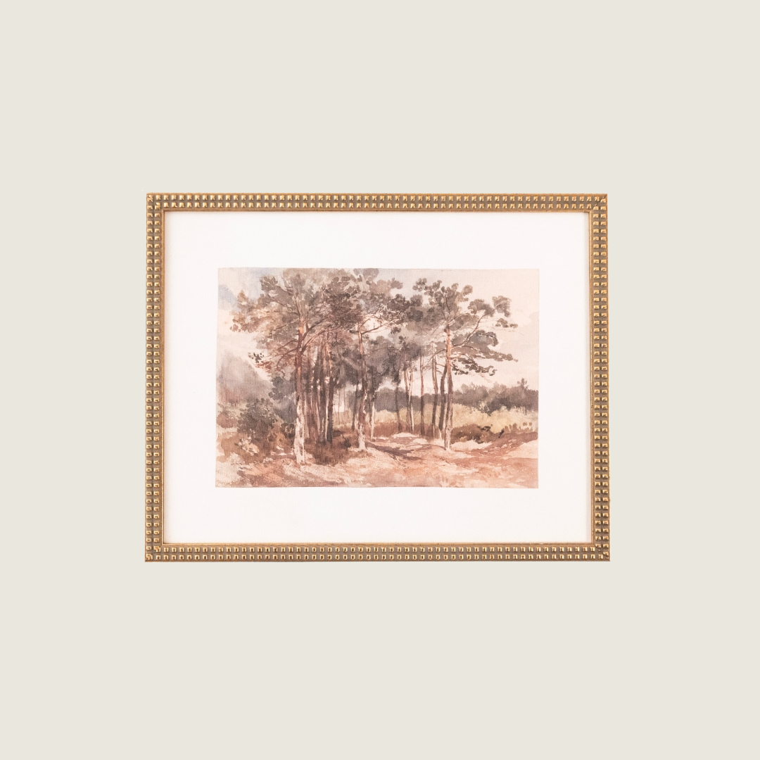 Country Landscape