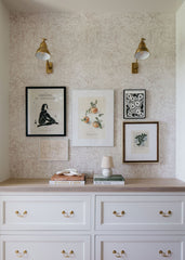 French Library Single Arm Wall Lamp