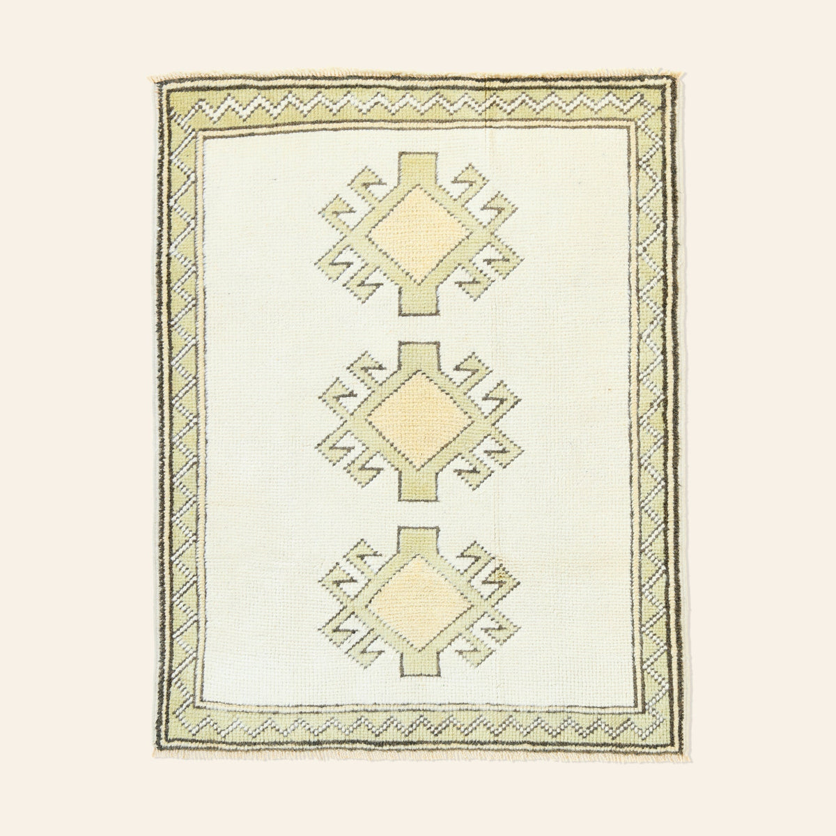 Jianna Vintage Rug 2.7' x 3.4'