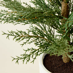 Faux Evergreen Cedar Tree