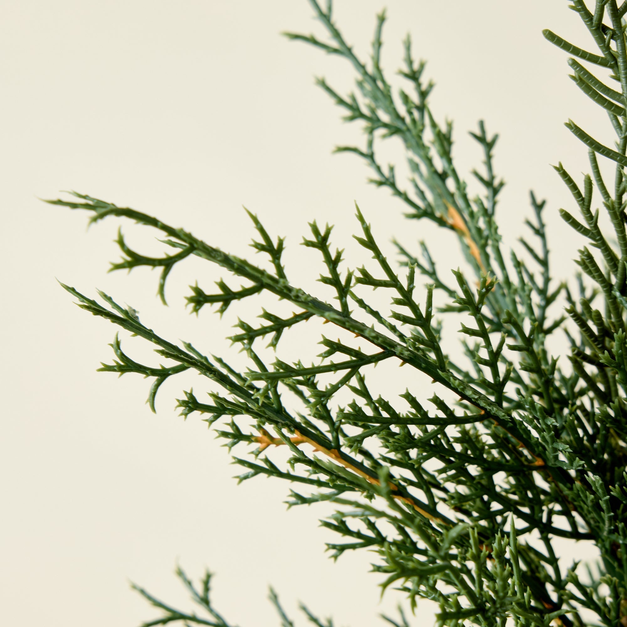 Faux Evergreen Cedar Tree