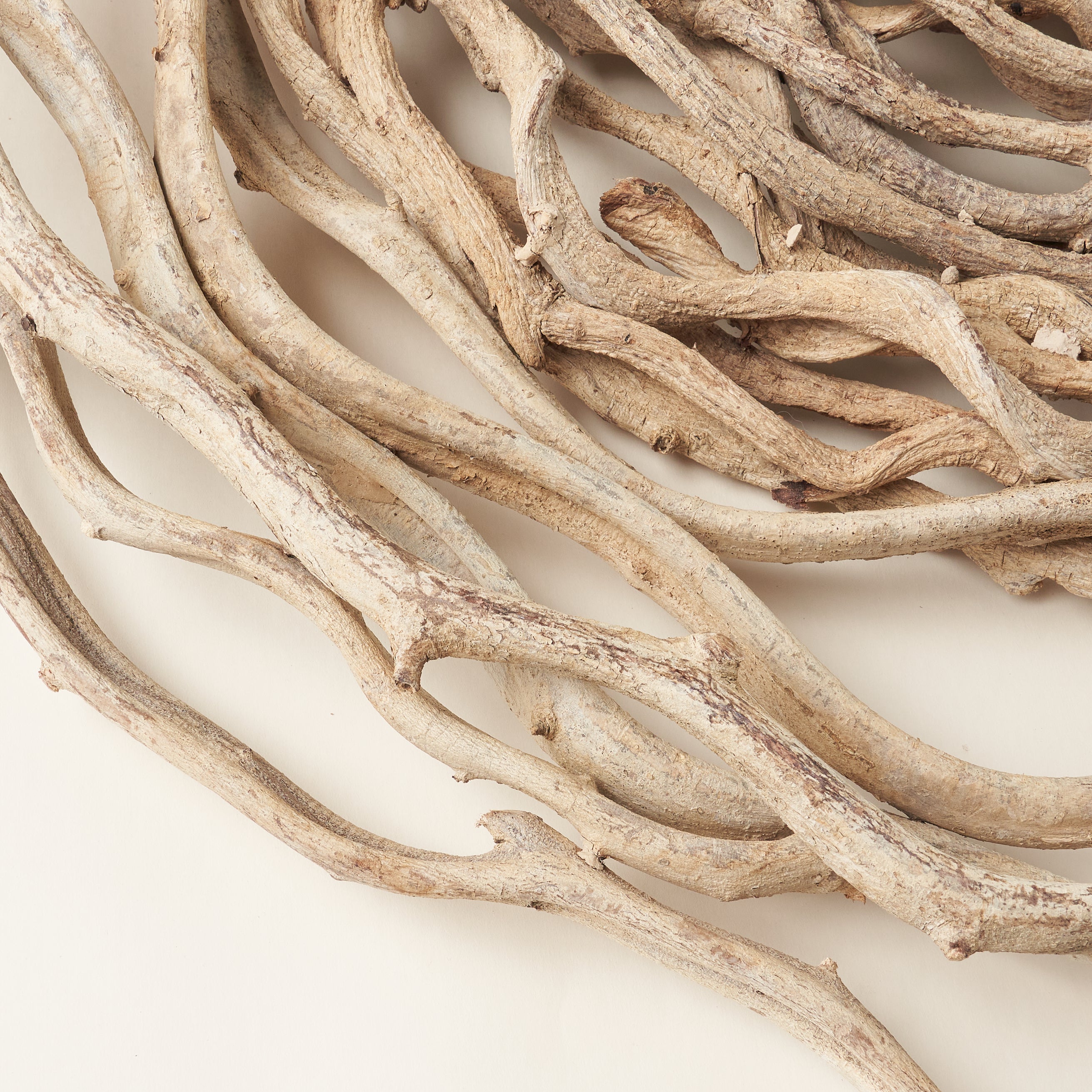 Circle Wall Vine