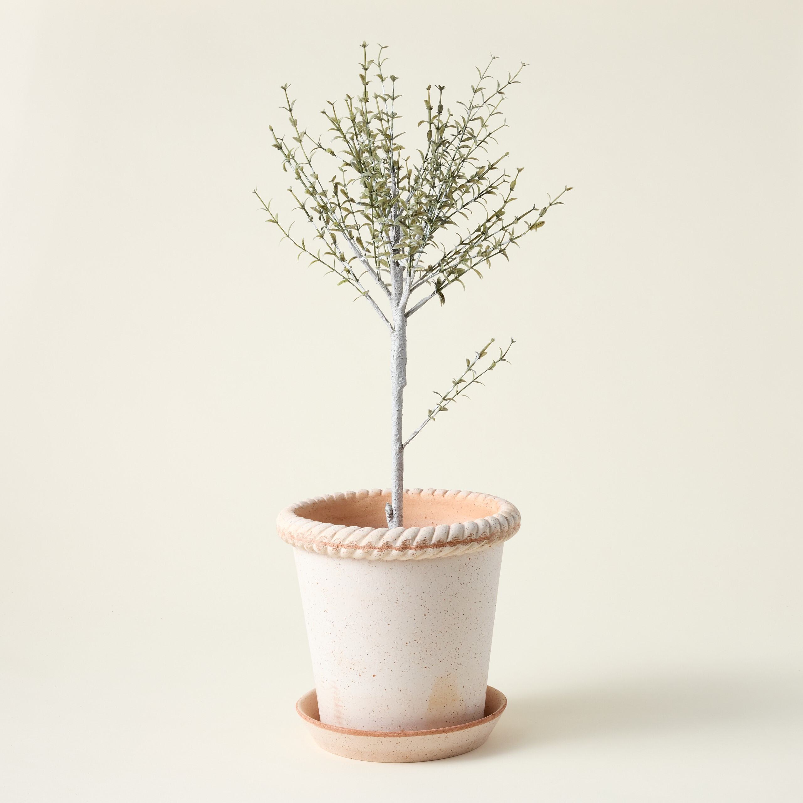 Emilia Rosa Set